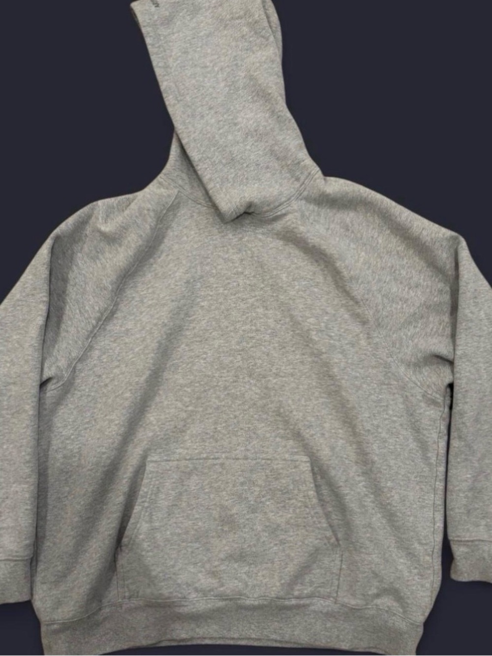 Aritzia Heather Gray Hooded Sweatshirt